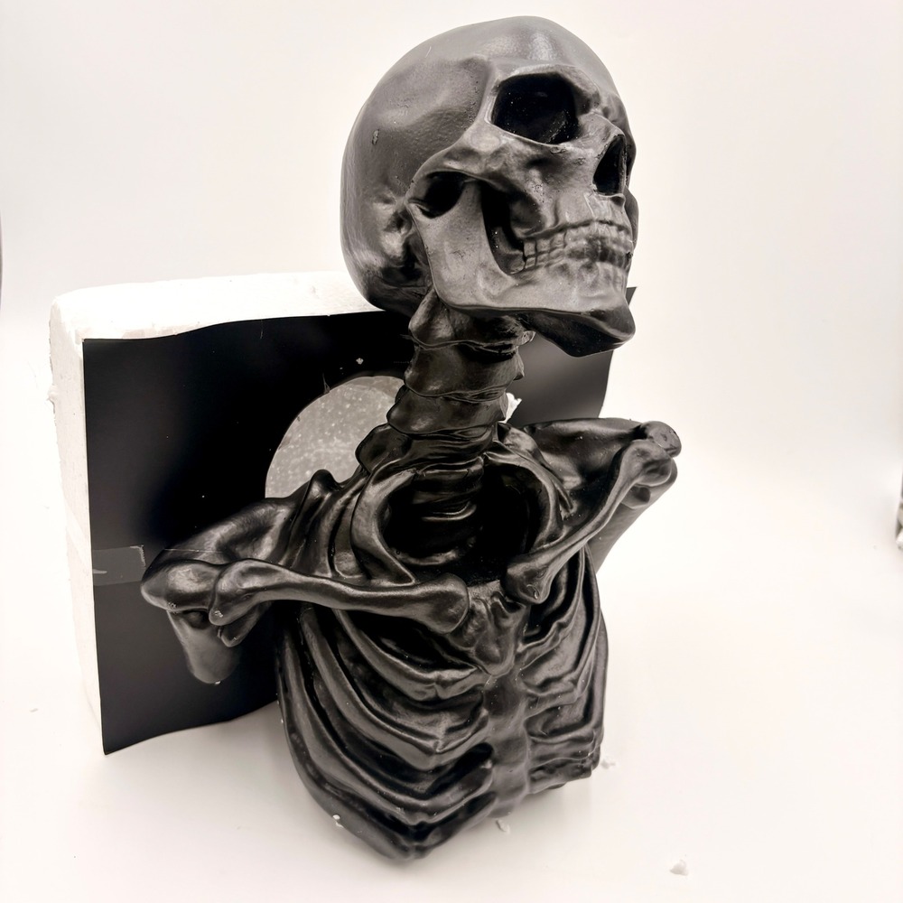 Christian Siriano New York Matte Black Skeleton Bust Wall Hanging Decor Gothic